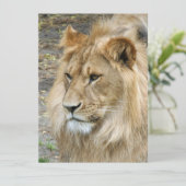 Löwe 011 feiertagskarte (Stehend Vorderseite)