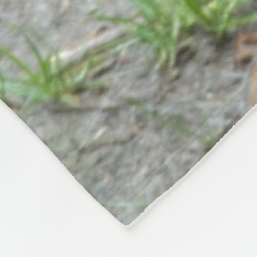 Löwe 011 fleecedecke (Ecke)