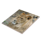 Löwe 011 fliese (Seite)