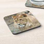 Löwe 011 getränkeuntersetzer (Linke Seite)