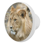 Löwe 011 keramikknauf (Rechts)