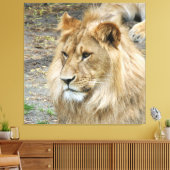 Löwe 011 leinwanddruck (Insitu (Wohnzimmer))