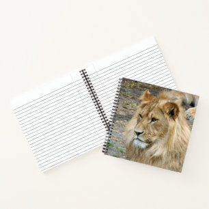 Löwe 011 notizblock