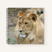 Löwe 011 notizblock (Vorderseite)