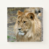 Löwe 011 notizblock (Rückseite)