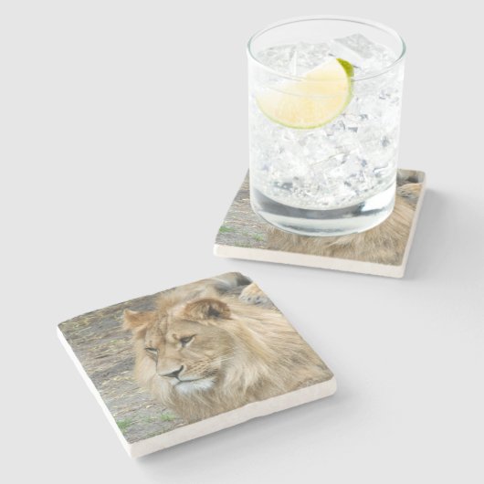 Löwe 011 steinuntersetzer (Seitenansicht)