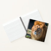 Löwe 013 notizblock (Innenseite)