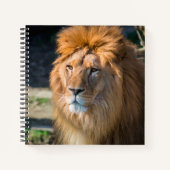 Löwe 013 notizblock (Vorderseite)