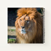 Löwe 013 notizblock (Rückseite)