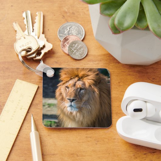 Löwe 013 schlüsselanhänger (Schreibtisch)