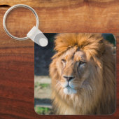 Löwe 013 schlüsselanhänger (Vorderseite)