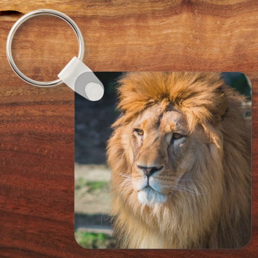 Löwe 013 schlüsselanhänger (Vorderseite)