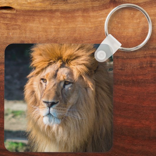 Löwe 013 schlüsselanhänger (Rückseite)