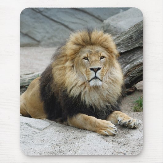 Löwe 020 mousepad (Vorne)