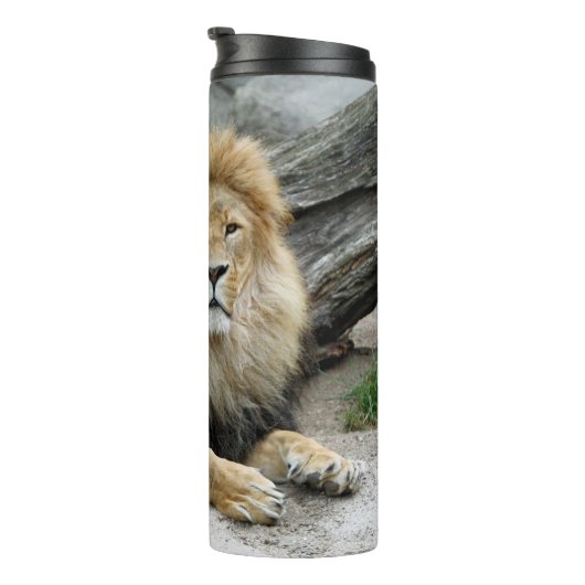 Löwe 020 thermosbecher (Nach rechts gedreht)