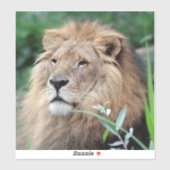 Löwe 021 aufkleber (Blatt)