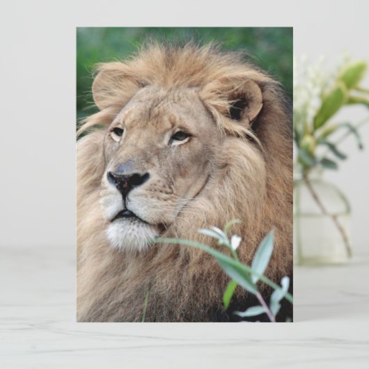 Löwe 021 feiertagskarte (Stehend Vorderseite)