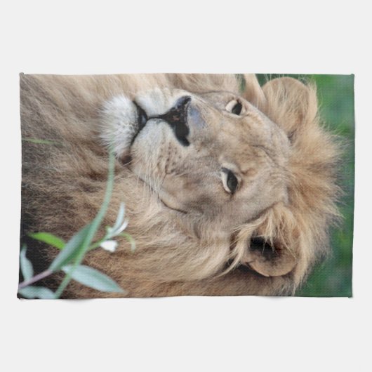 Löwe 021 geschirrtuch (Horizontal)
