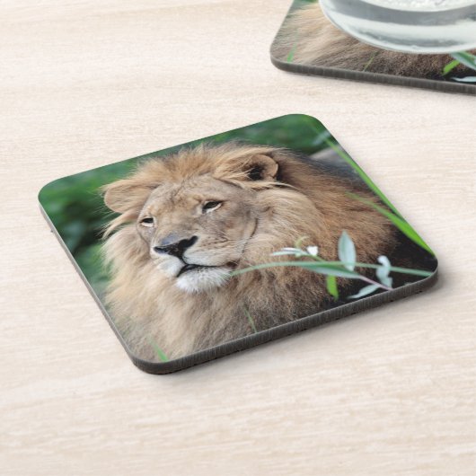 Löwe 021 getränkeuntersetzer (Linke Seite)