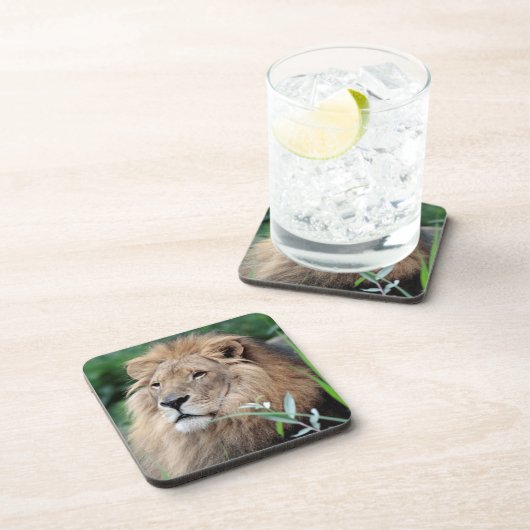 Löwe 021 getränkeuntersetzer (Rechte Seite)