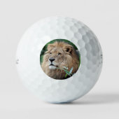Löwe 021 golfball (Vorderseite)