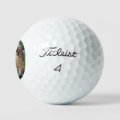 Löwe 021 golfball (Logo)
