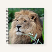 Löwe 021 notizblock (Vorderseite)