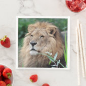 Löwe 021 serviette (Beispiel)