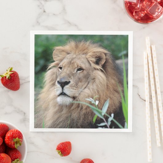 Löwe 021 serviette (Beispiel)