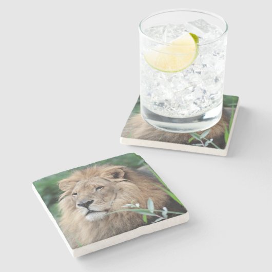 Löwe 021 steinuntersetzer (Seitenansicht)