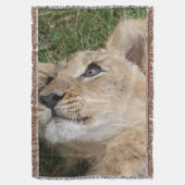 Löwe 022 decke (Vorderseite Vertikal)