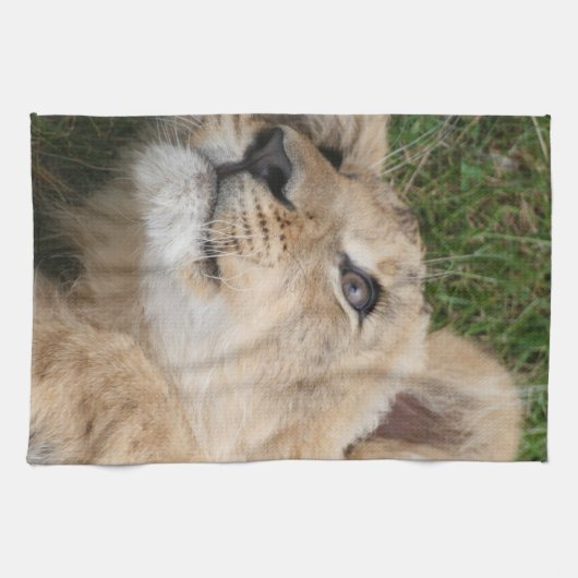 Löwe 022 geschirrtuch (Horizontal)