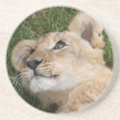 Löwe 022 getränkeuntersetzer (Vorne)