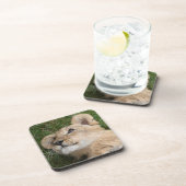 Löwe 022 getränkeuntersetzer (Rechte Seite)