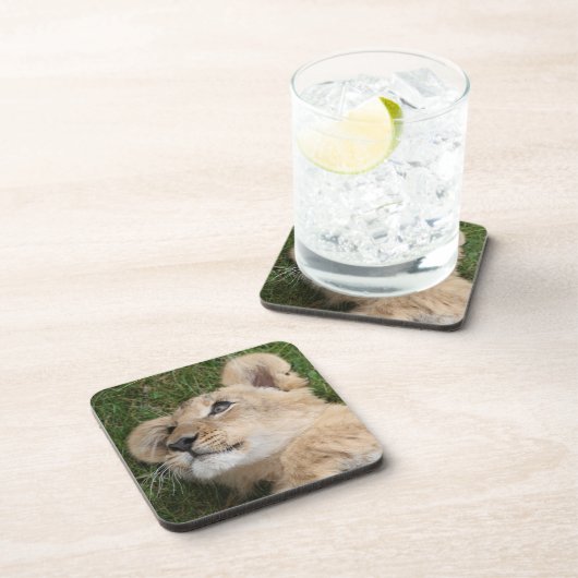 Löwe 022 getränkeuntersetzer (Rechte Seite)