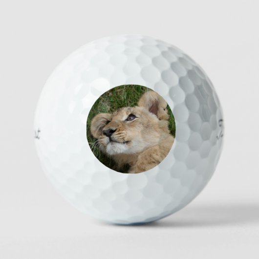 Löwe 022 golfball (Vorderseite)