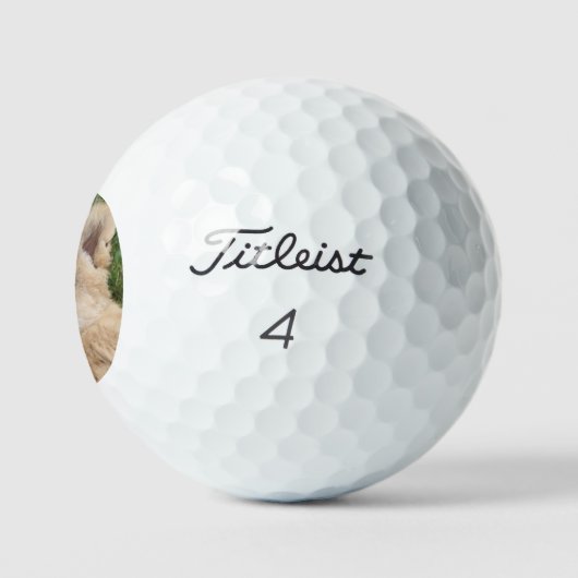 Löwe 022 golfball (Logo)