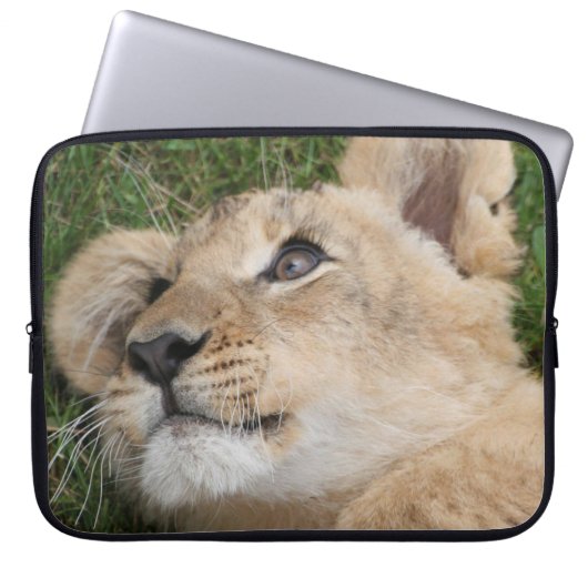 Löwe 022 laptopschutzhülle (Vorderseite)
