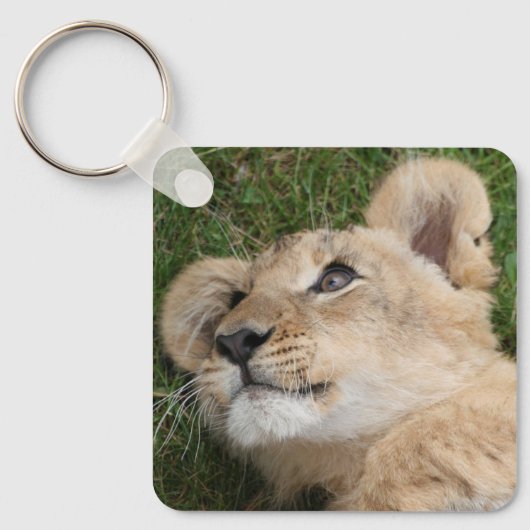 Löwe 022 schlüsselanhänger (Vorderseite)