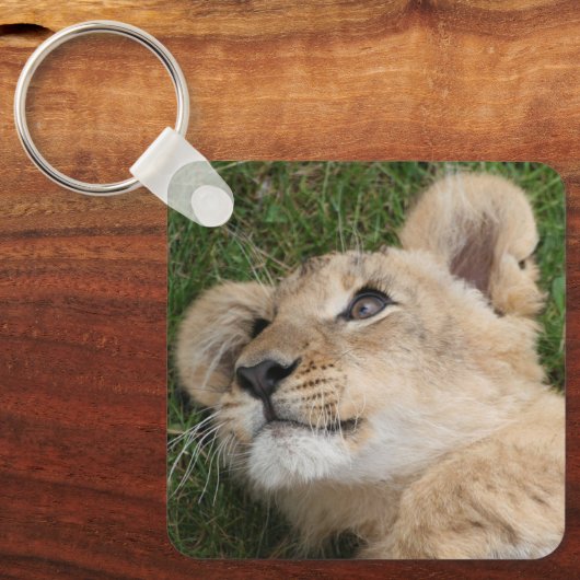 Löwe 022 schlüsselanhänger (Vorderseite)