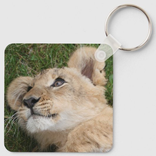 Löwe 022 schlüsselanhänger (Rückseite)