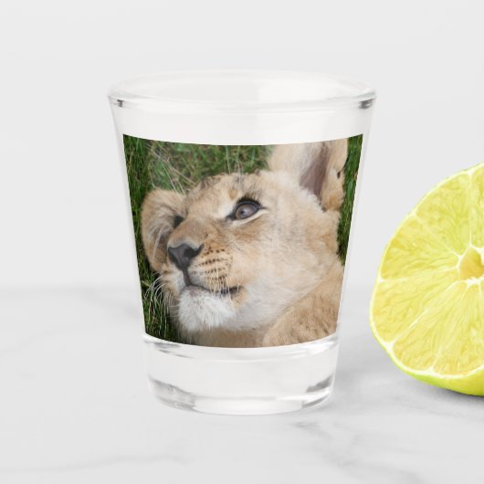 Löwe 022 schnapsglas (Vorderseite)