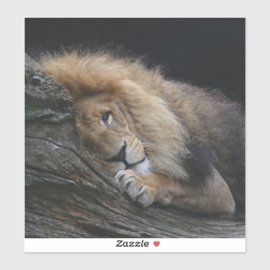 Löwe 030 aufkleber (Blatt)