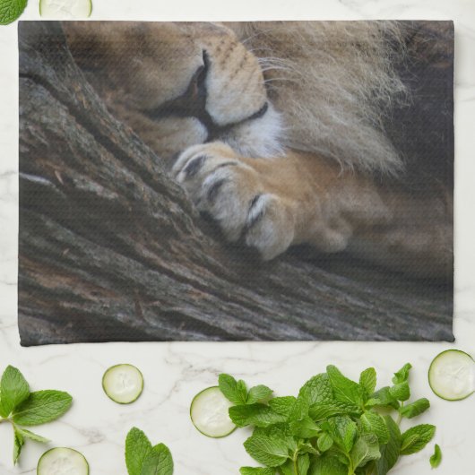 Löwe 030 geschirrtuch (Gefaltet)