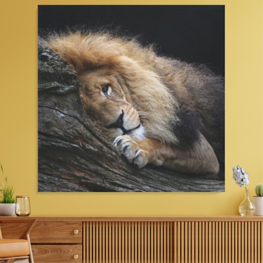 Löwe 030 leinwanddruck (Insitu (Wohnzimmer))