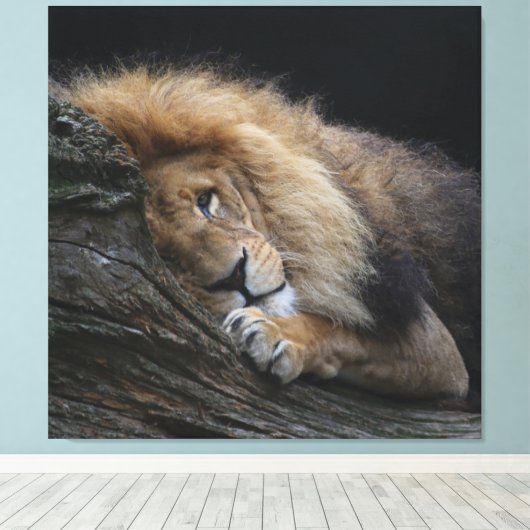 Löwe 030 leinwanddruck (Insitu (Holzboden))