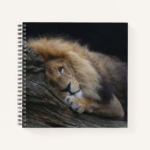 Löwe 030 notizblock (Vorderseite)