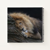 Löwe 030 notizblock (Rückseite)