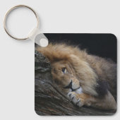 Löwe 030 schlüsselanhänger (Vorderseite)