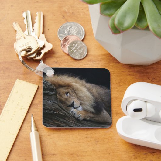 Löwe 030 schlüsselanhänger (Schreibtisch)